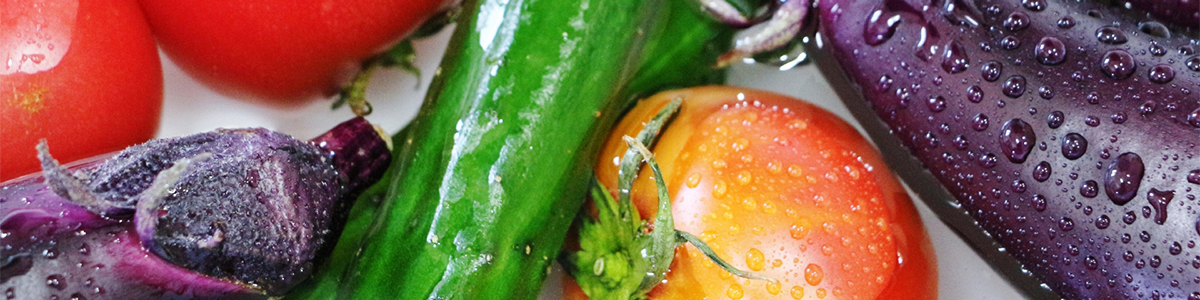 旬の野菜で夏バテ防止!おすすめ食材もご紹介